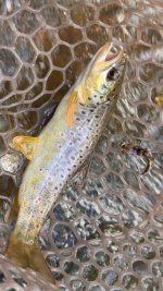 IMG_8223.jpeg