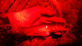 20160518_222903.jpg