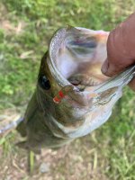 IMG_5664.jpeg