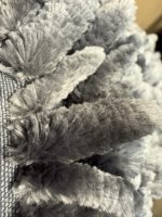 IMG_0161.jpeg