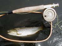 IMG_1762.jpeg