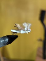PXL_20260901_025405749.jpg