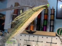 IMG_8433.jpeg