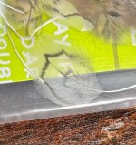 IMG_3181.jpeg
