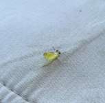 IMG_2800.jpeg