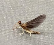 IMG_2464.jpeg