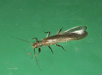 IMG_2671.jpeg