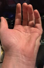 IMG_2336.jpeg