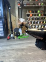 IMG_6504.jpeg