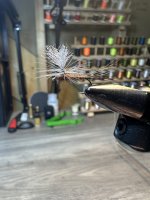 IMG_6506.jpeg