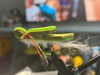 IMG_1282.jpeg