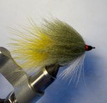 IMG_0774.jpeg