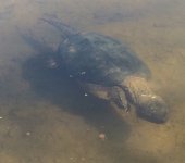 IMG_0690.jpeg