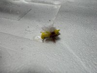 IMG_7255.jpeg