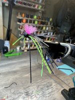 IMG_6509.jpeg