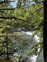 IMG_0504.jpeg