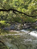 IMG_0502.jpeg