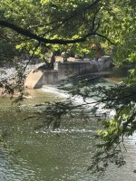 IMG_0509.jpeg