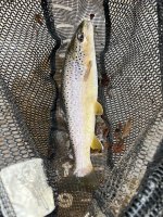 IMG_2414.jpeg IMG_2414.jpeg
