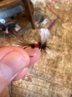 IMG_3337.jpeg
