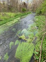 IMG_4873.jpeg
