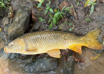 IMG_0928.jpeg