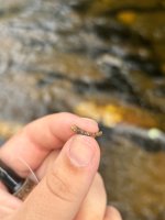 IMG_8095.jpeg