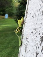 IMG_6786.jpeg