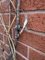 IMG_3977.jpeg