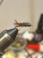IMG_5423.jpeg