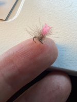 IMG_0842.jpeg