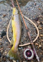 IMG_3197.jpeg