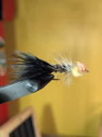 PXL_20260930_020403979.jpg
