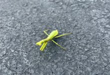 IMG_3958.jpeg