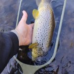 IMG_20261003_093743362.jpg