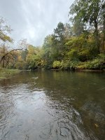 IMG_1603.jpeg