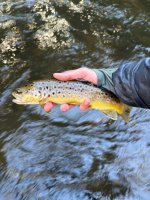IMG_1682.jpeg