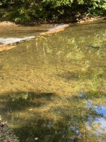 IMG_5127.jpeg