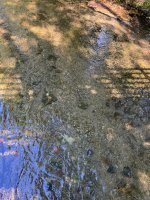 IMG_5125.jpeg