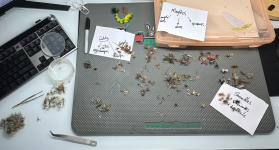 bugs.png