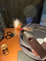IMG_1743.jpeg