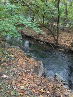IMG_3635.jpeg