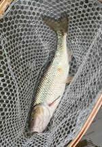 IMG_5387.jpeg