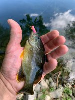 IMG_6019.jpeg