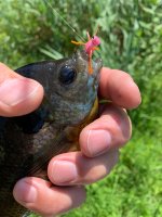 IMG_6006.jpeg
