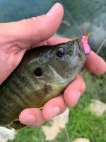IMG_5988.jpeg