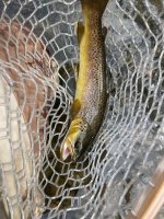 IMG_1686.jpeg
