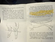 IMG_0365.jpeg IMG_0365.jpeg