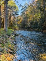 IMG_1445.jpeg
