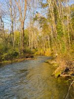 IMG_1424.jpeg